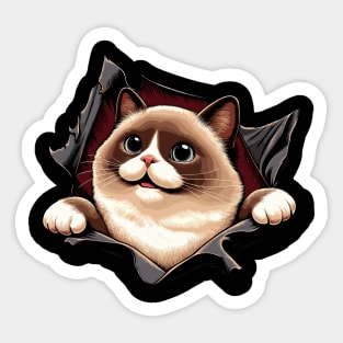 Funny Cut Out Cat Selfie Sticker